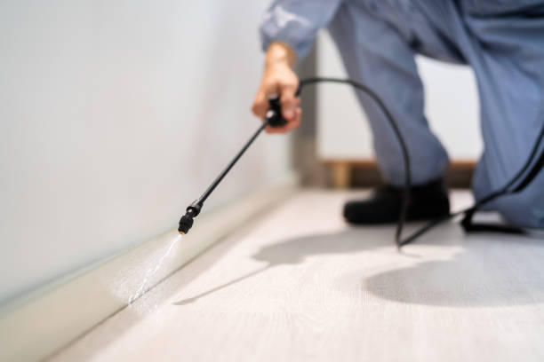 Licensed Termite Control service in Dorothy, NJ - Nex Pest Control