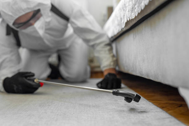 Professional Termite Control technician working in Dorothy, NJ